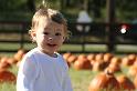 Pumkin Patch
